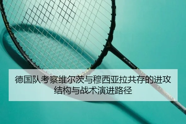 德国队考察维尔茨与穆西亚拉共存的进攻结构与战术演进路径