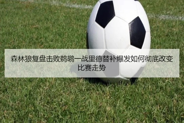 森林狼复盘击败鹈鹕一战里德替补爆发如何彻底改变比赛走势